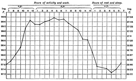 Daily Cycle in Body Temperature