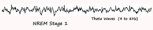 Sleep Stage 1: Theta Waves