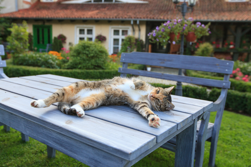 Back From Vacation – Are You Well-Rested or Totally Exhausted?
