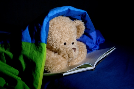 Adults Love Bedtime Stories Too